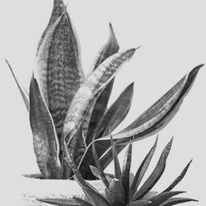 Coming Home To Yourself – Relief and Clarity Rituals